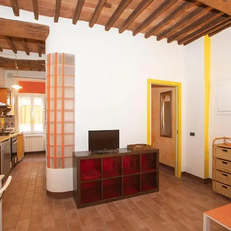 Nella Contrada Della Tartuca *