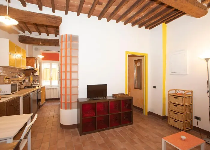 Nella Contrada Della Tartuca *